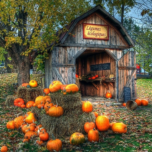 Away for family medical.. - Picture 12 of 15